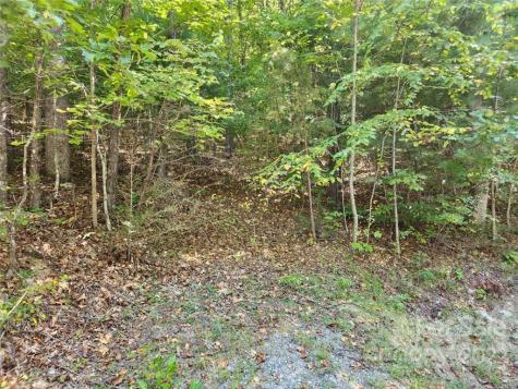 23 Overlook Park Drive Hendersonville NC 28792