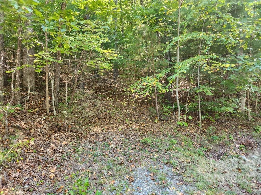 23 Overlook Park Drive Hendersonville NC 28792