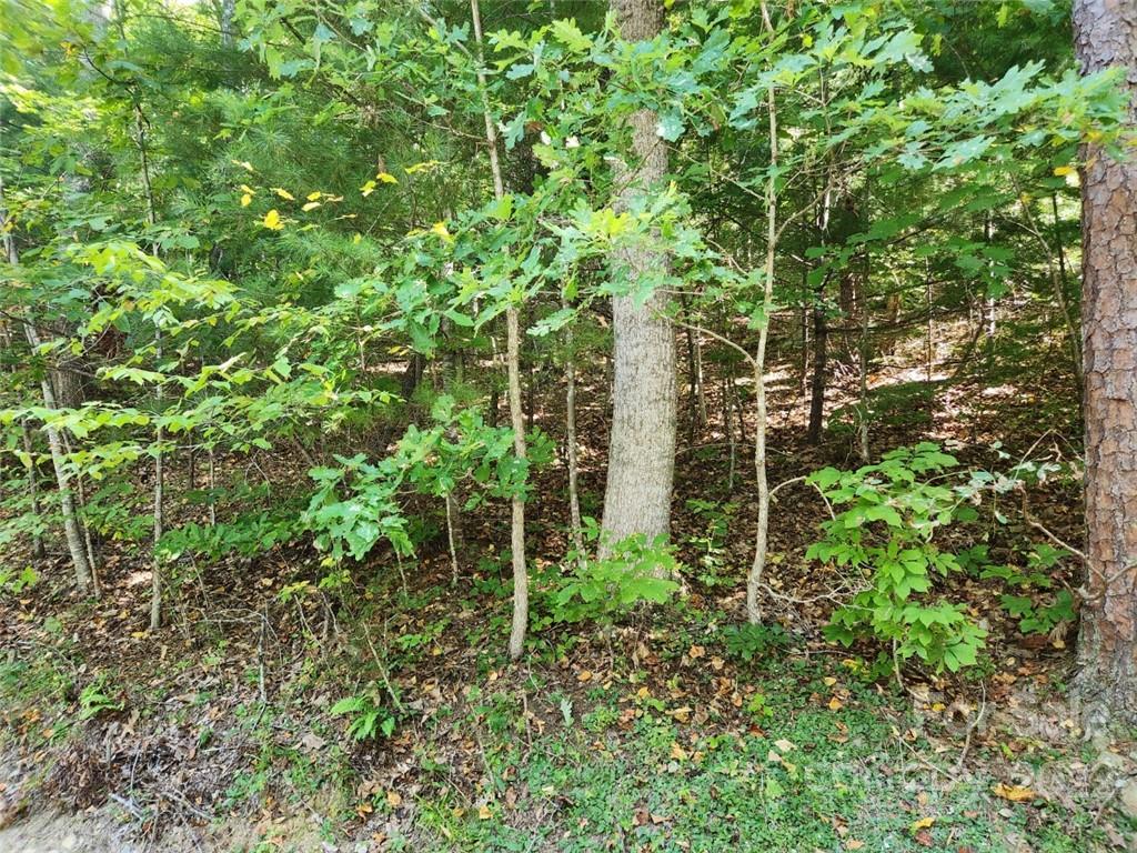 23 Overlook Park Drive Hendersonville NC 28792
