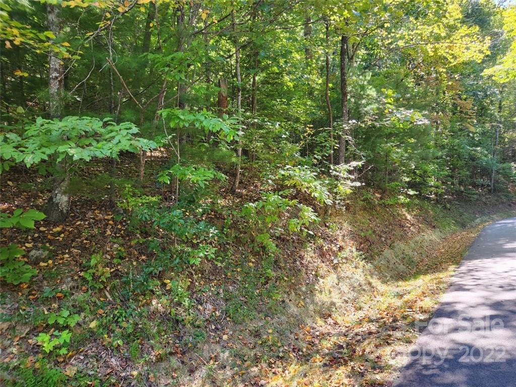 23 Overlook Park Drive Hendersonville NC 28792