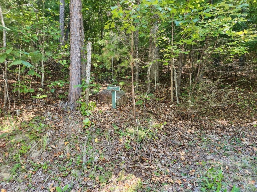 23 Overlook Park Drive Hendersonville NC 28792