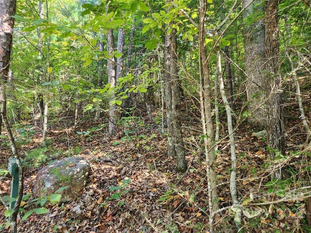 23 Overlook Park Drive Hendersonville NC 28792