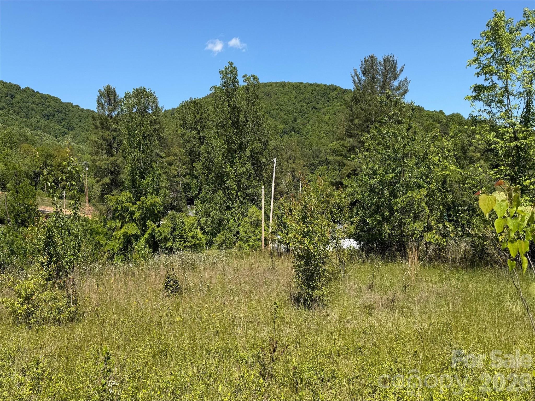 99999 S Morgan Branch Road Candler NC 28715