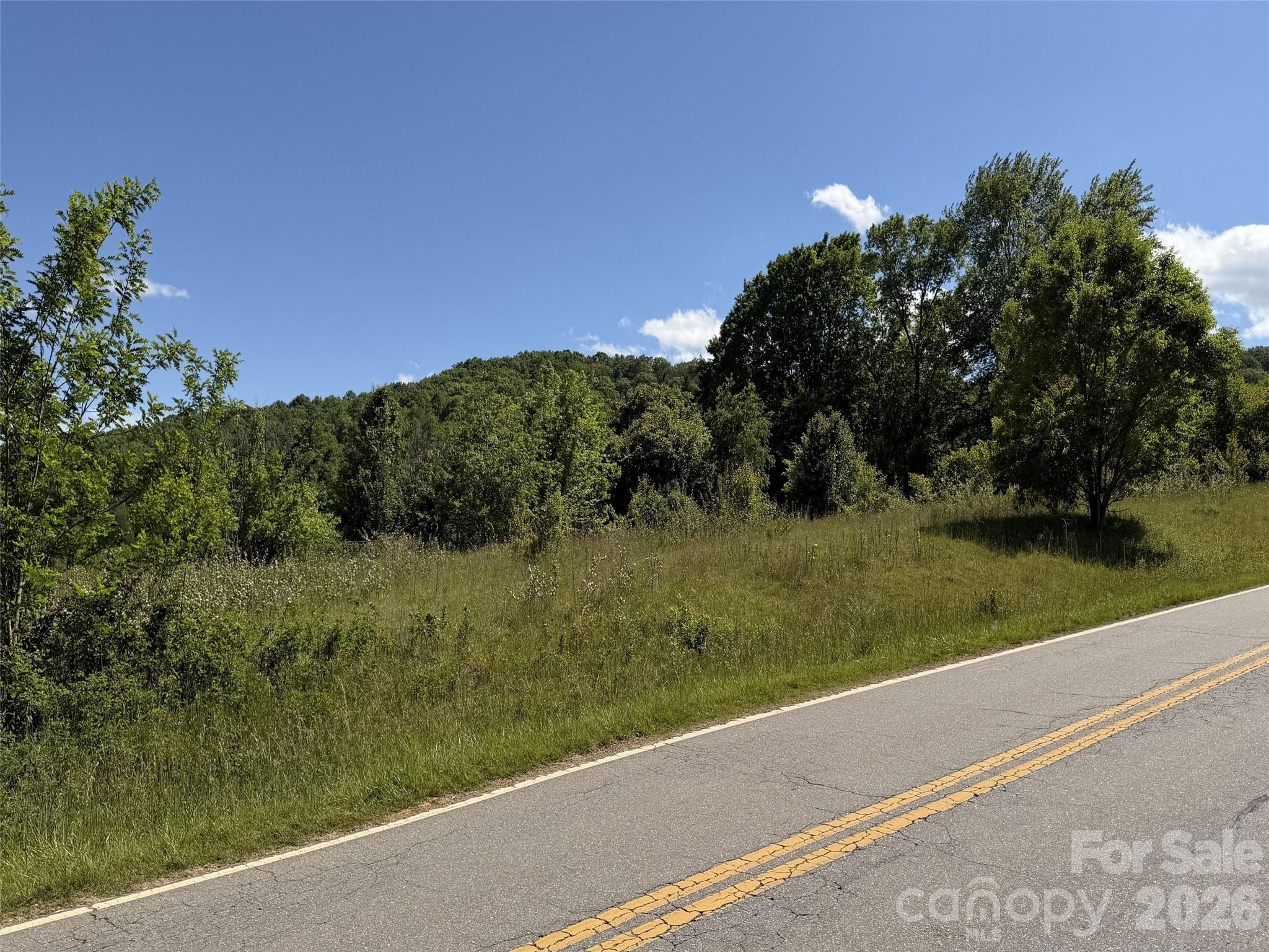 99999 S Morgan Branch Road Candler NC 28715