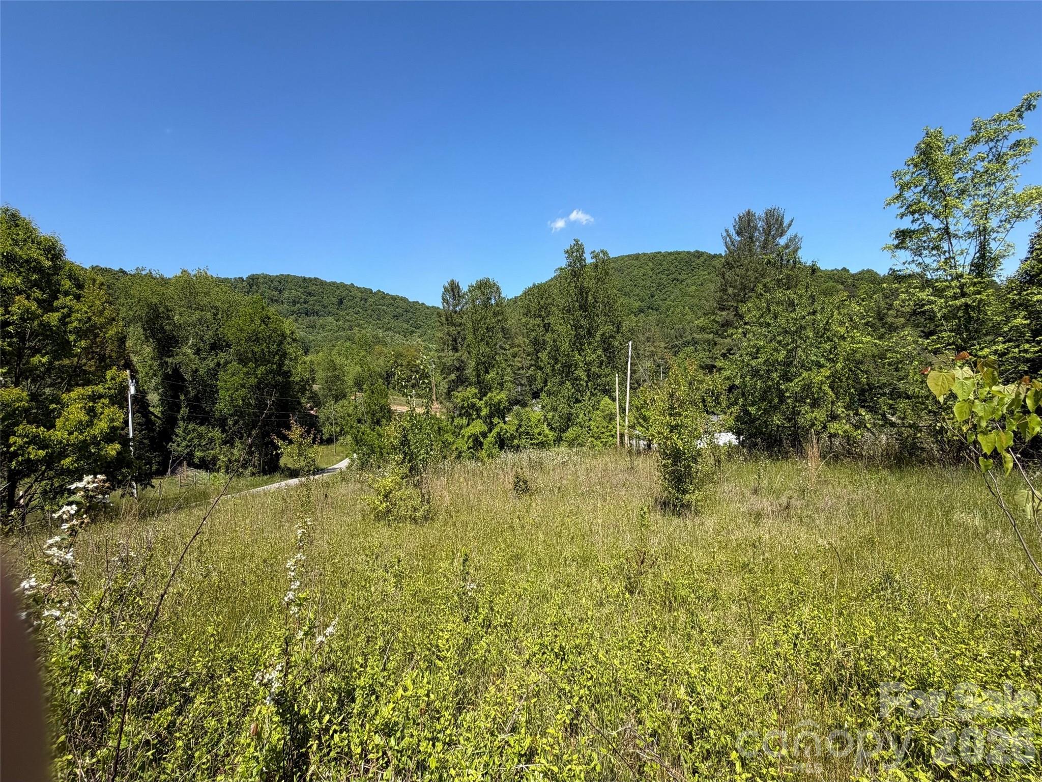 99999 S Morgan Branch Road Candler NC 28715