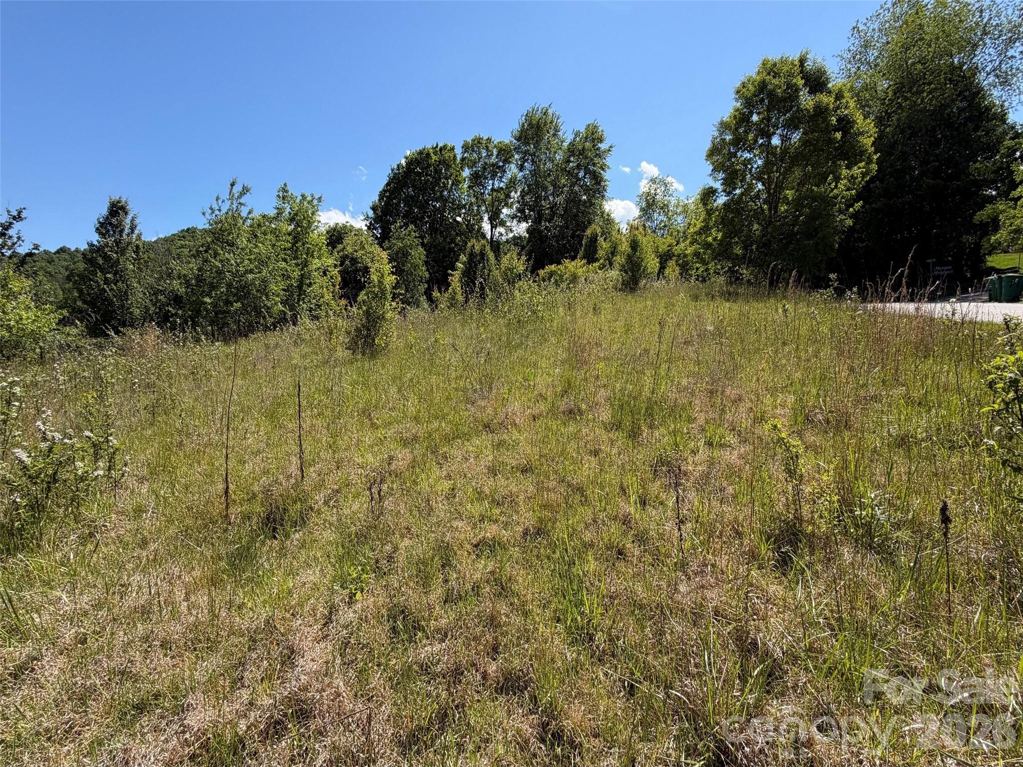 99999 S Morgan Branch Road Candler NC 28715