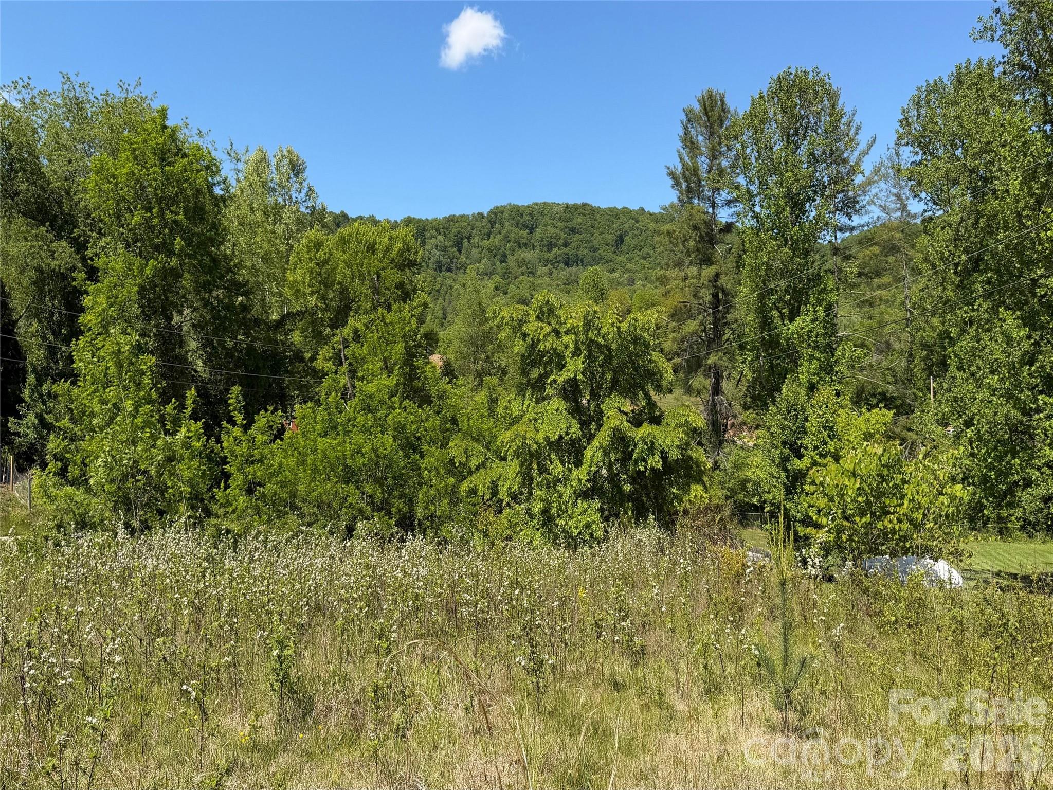 99999 S Morgan Branch Road Candler NC 28715