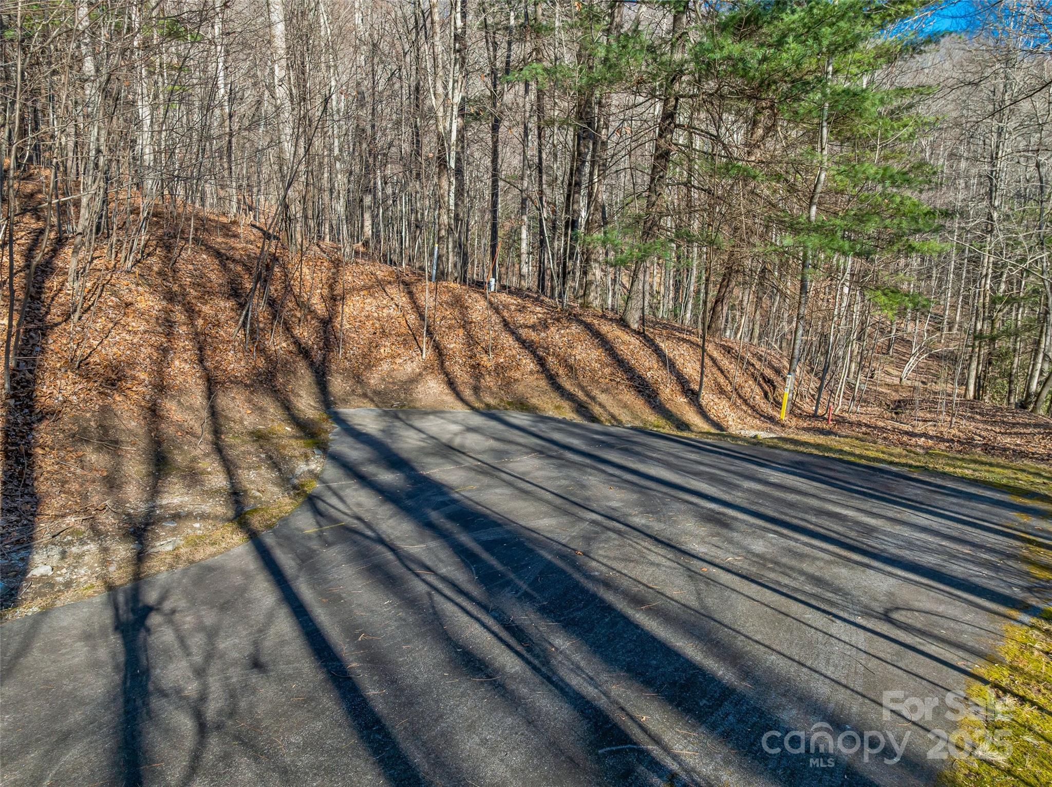 Tbd Ladys Fern Trail Laurel Park NC 28739