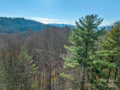 Tbd Ladys Fern Trail Laurel Park NC 28739