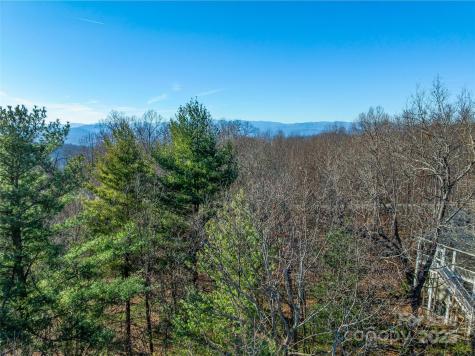 Tbd Ladys Fern Trail Laurel Park NC 28739