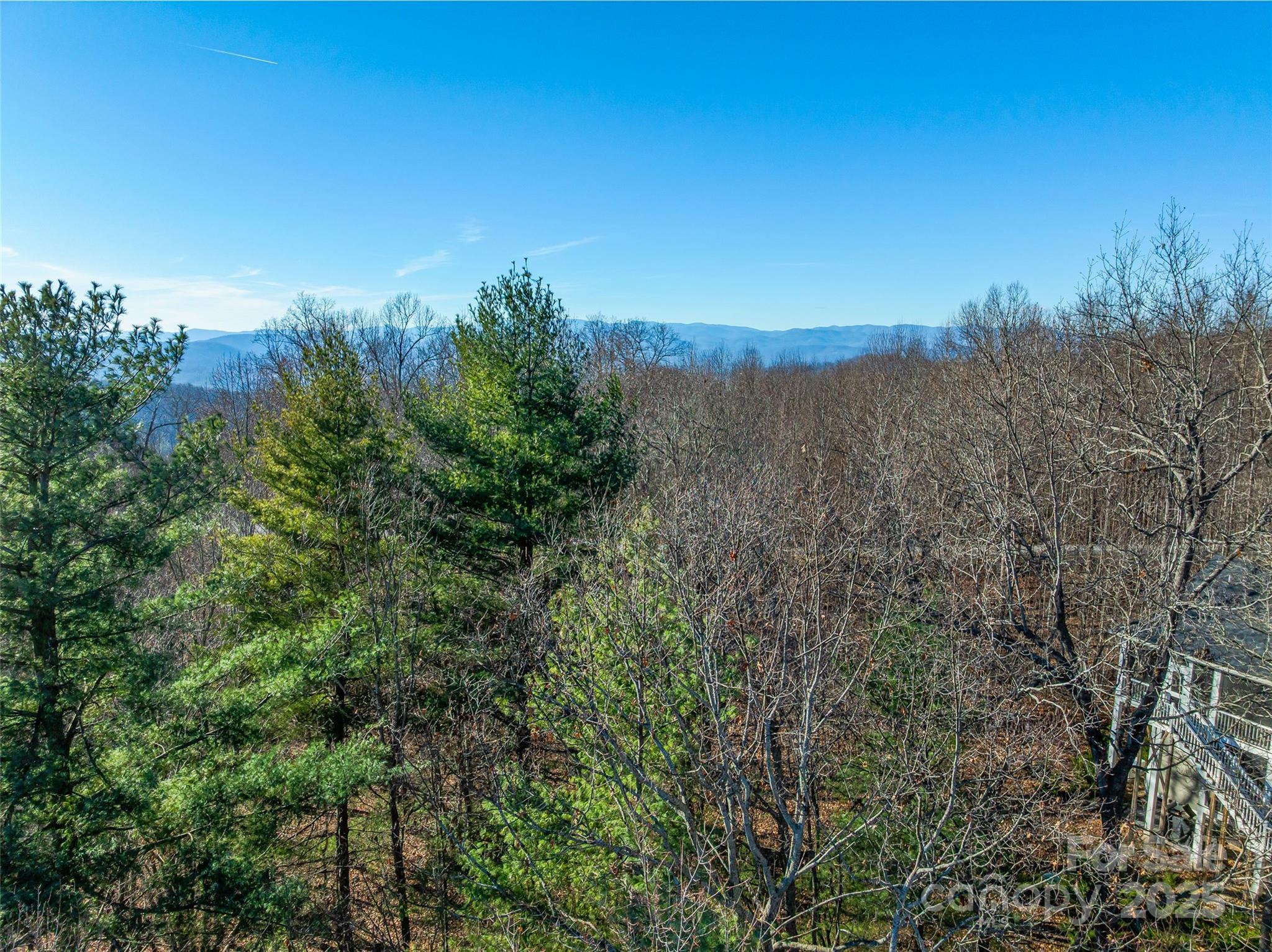 Tbd Ladys Fern Trail Laurel Park NC 28739