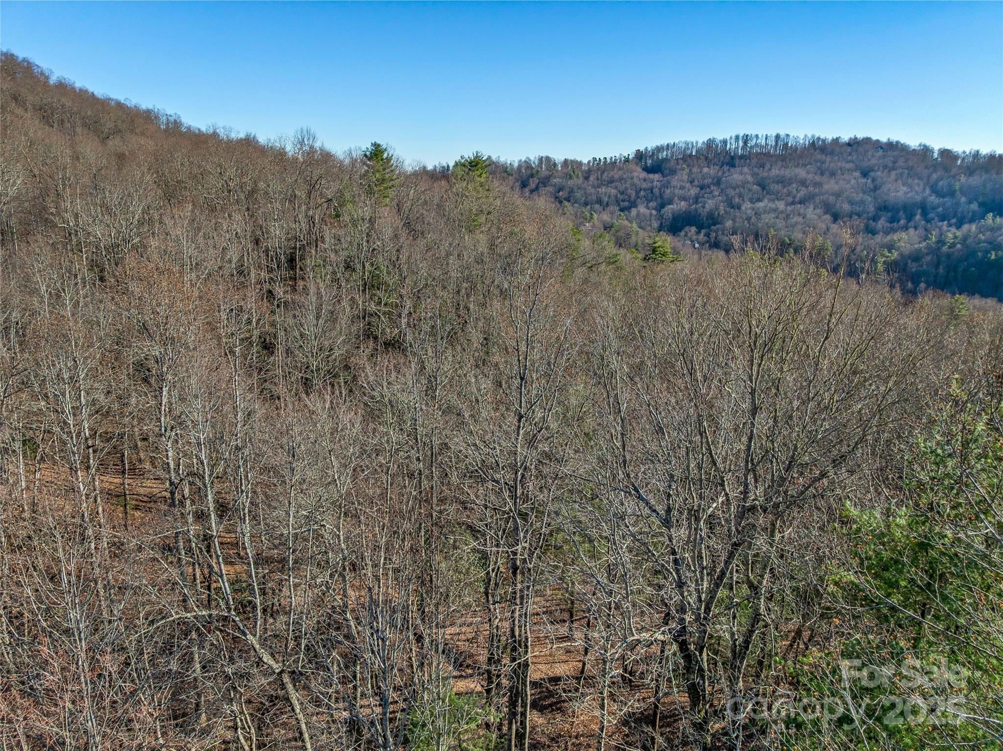 Tbd Ladys Fern Trail Laurel Park NC 28739