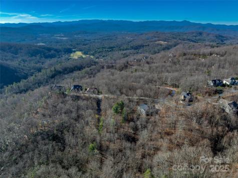 Tbd Ladys Fern Trail Laurel Park NC 28739