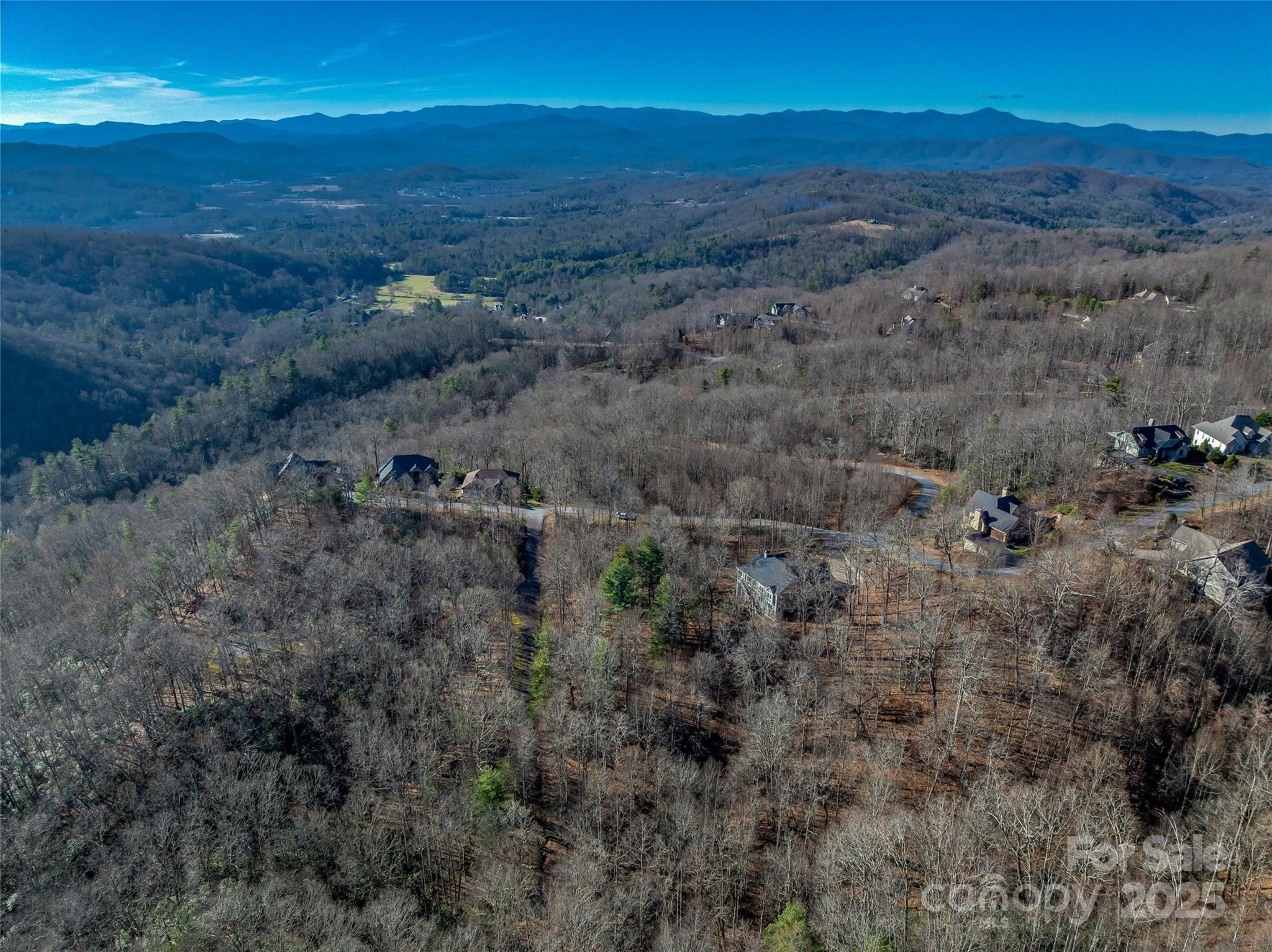 Tbd Ladys Fern Trail Laurel Park NC 28739