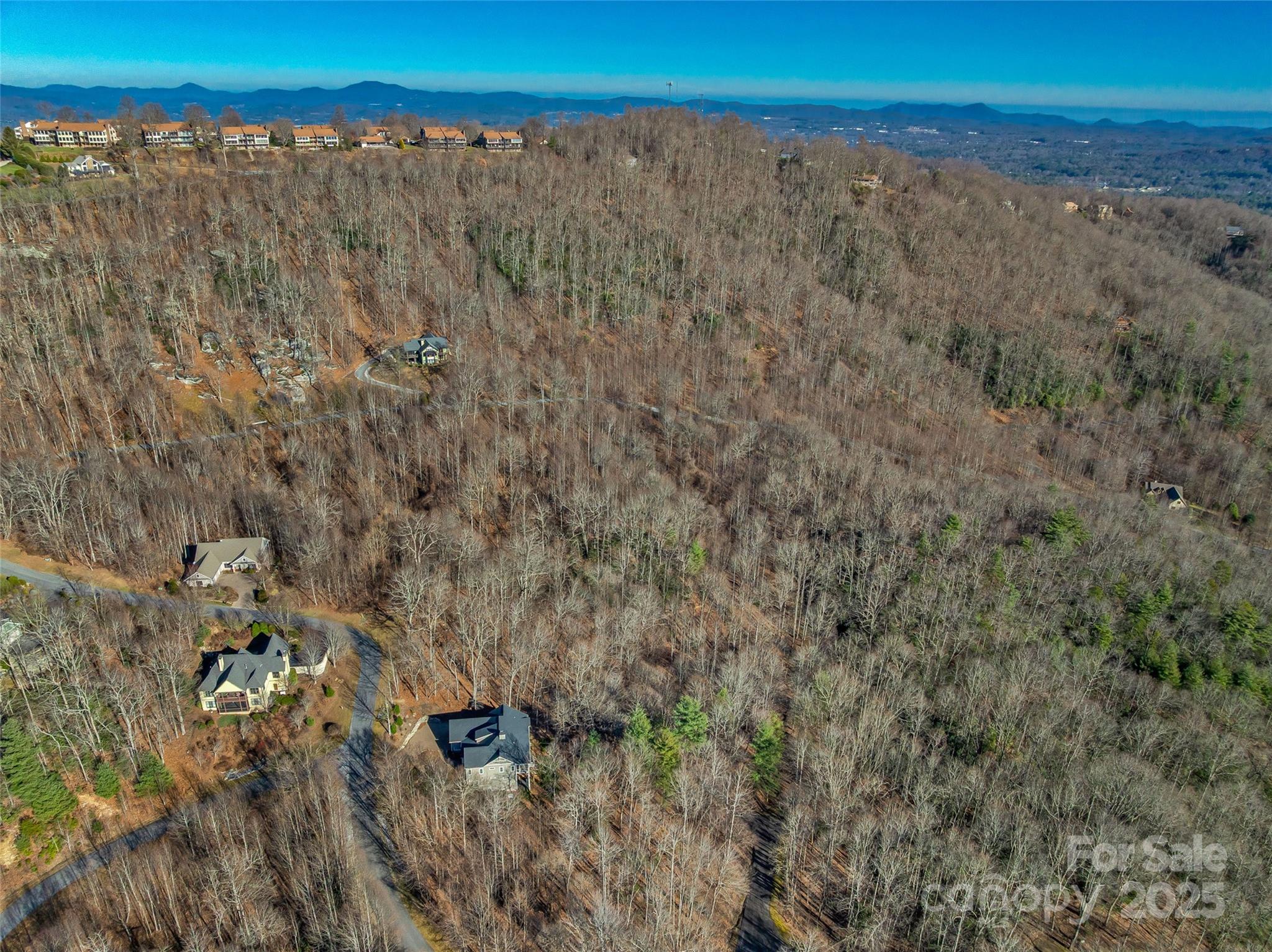 Tbd Ladys Fern Trail Laurel Park NC 28739