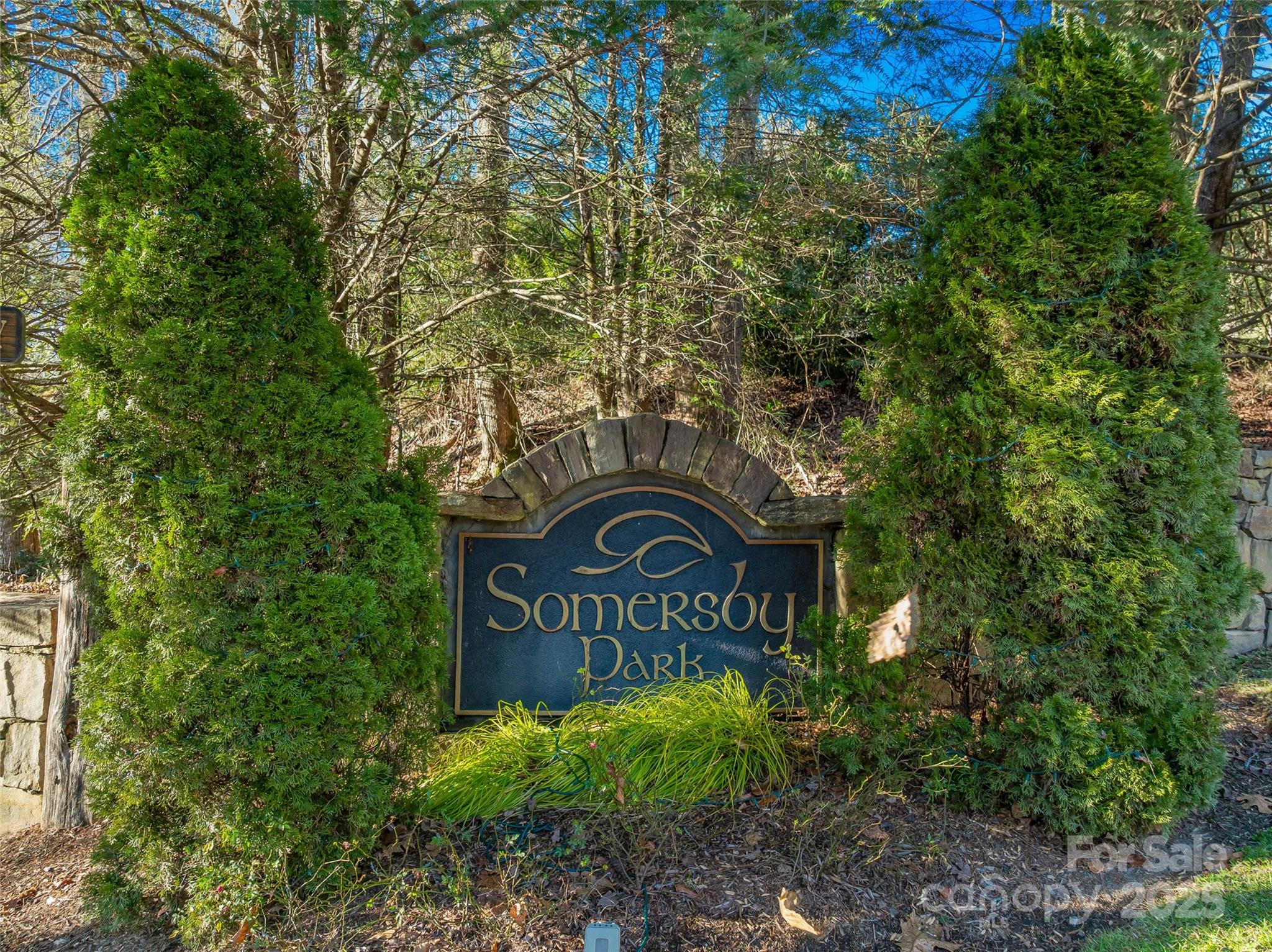 Tbd Ladys Fern Trail Laurel Park NC 28739