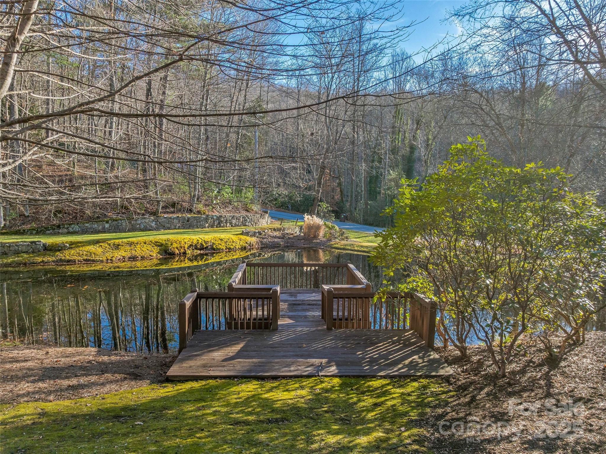 Tbd Ladys Fern Trail Laurel Park NC 28739