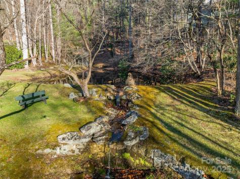 Tbd Ladys Fern Trail Laurel Park NC 28739