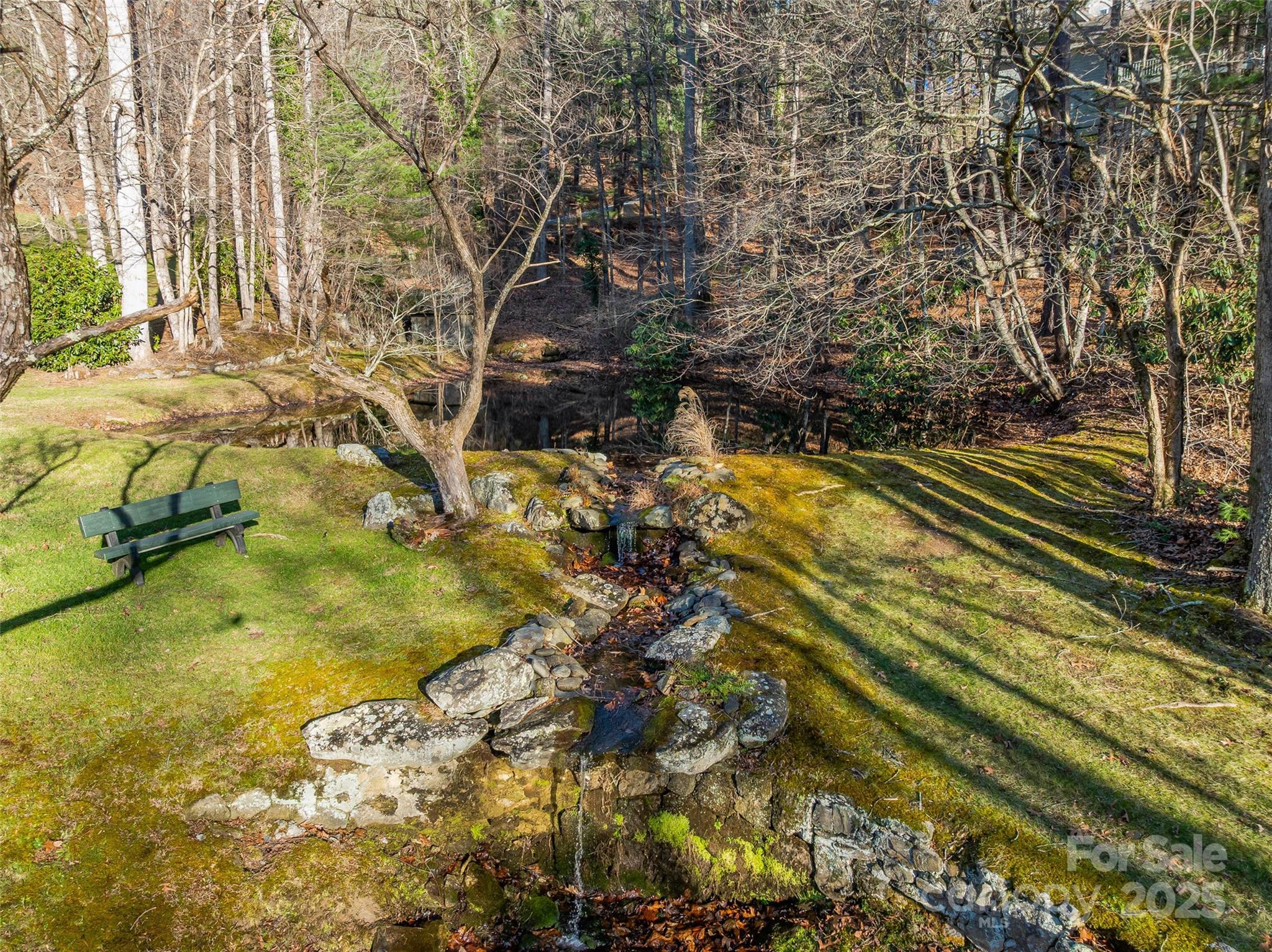 Tbd Ladys Fern Trail Laurel Park NC 28739