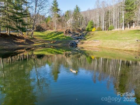 Tbd Ladys Fern Trail Laurel Park NC 28739
