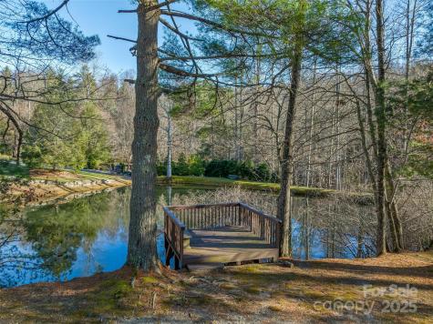 Tbd Ladys Fern Trail Laurel Park NC 28739