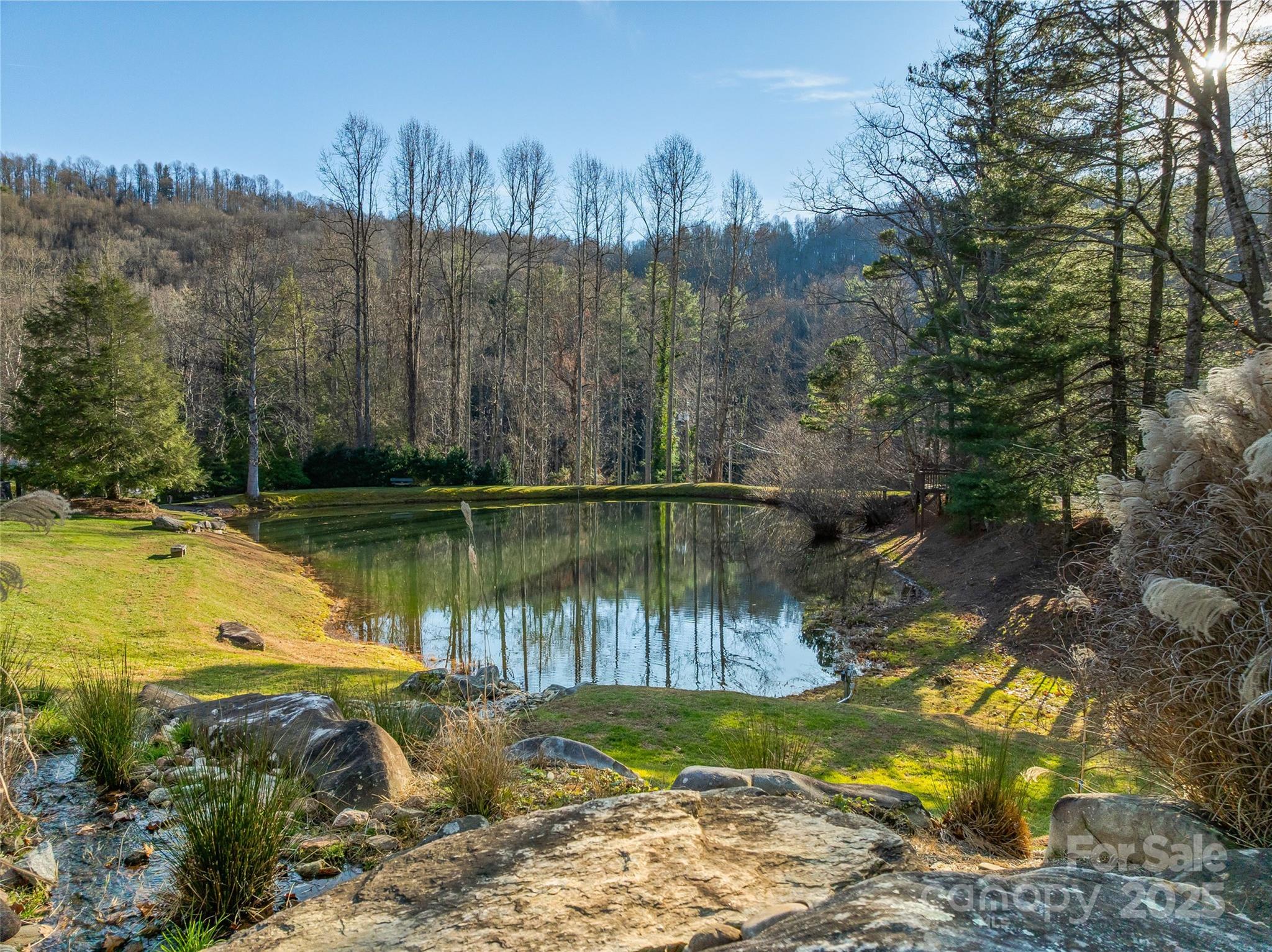 Tbd Ladys Fern Trail Laurel Park NC 28739