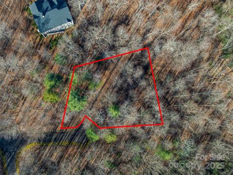 Tbd Ladys Fern Trail Laurel Park NC 28739