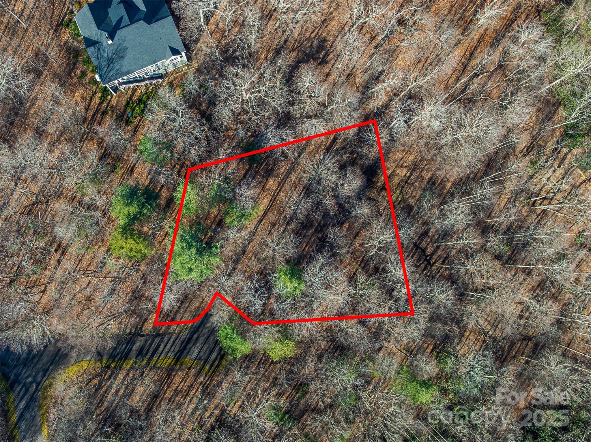 Tbd Ladys Fern Trail Laurel Park NC 28739