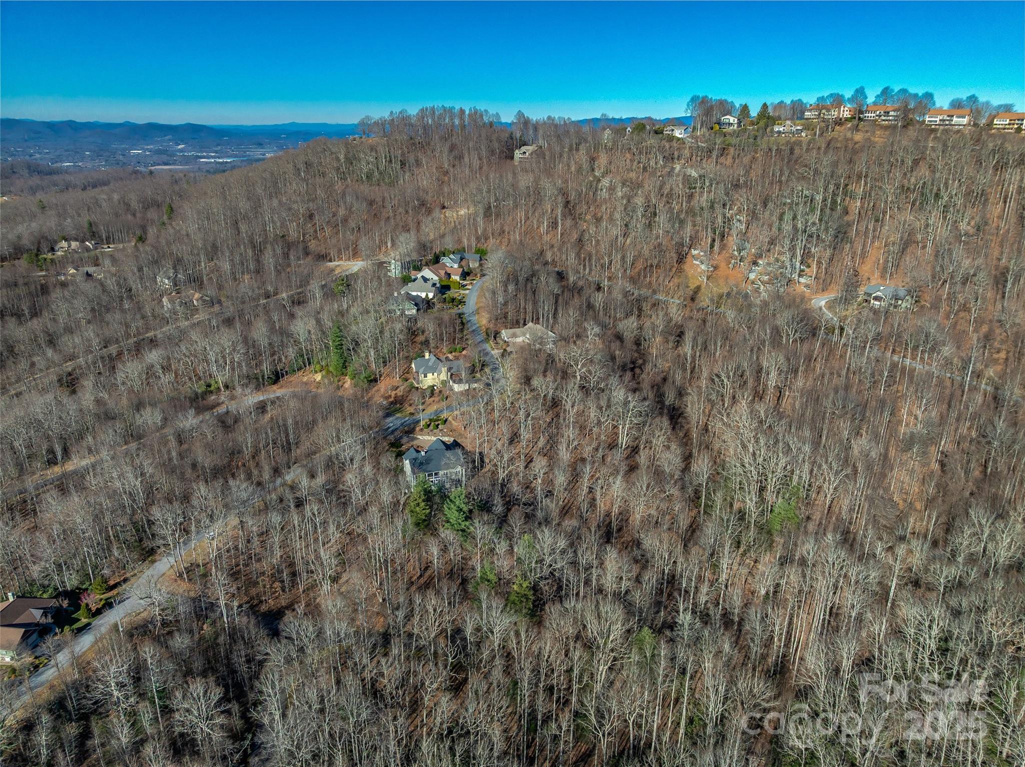 Tbd Ladys Fern Trail Laurel Park NC 28739