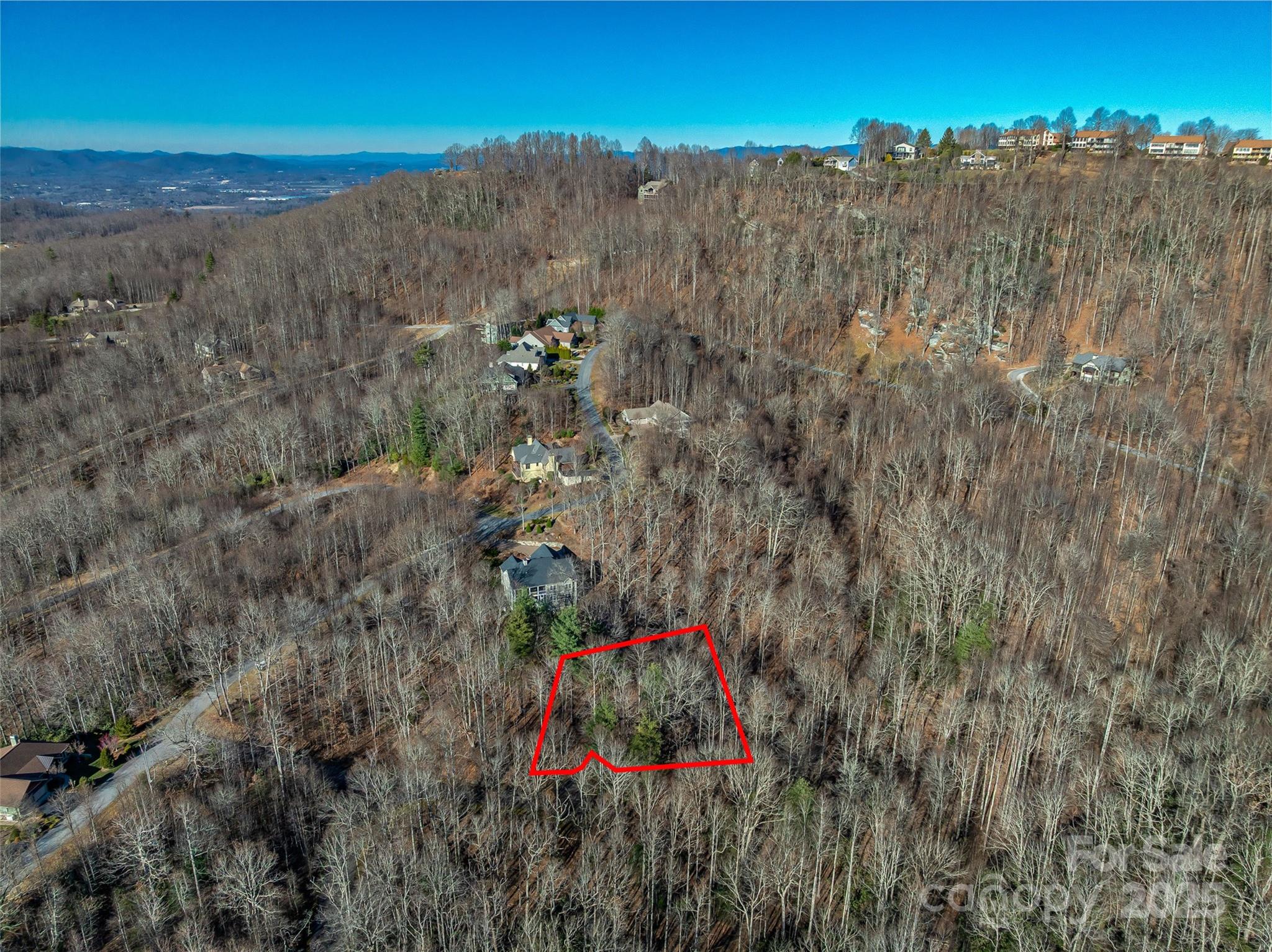 Tbd Ladys Fern Trail Laurel Park NC 28739