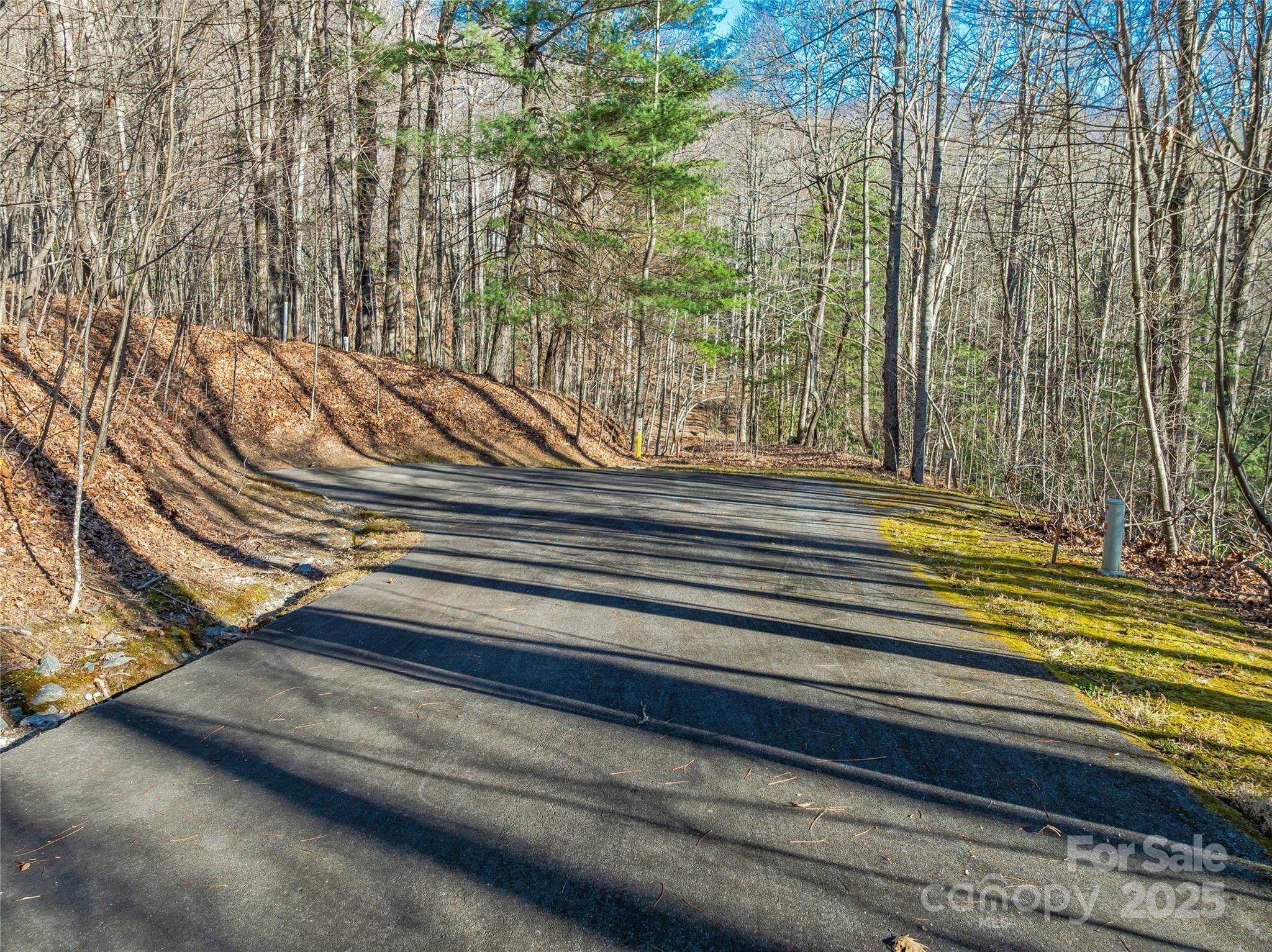 Tbd Ladys Fern Trail Laurel Park NC 28739