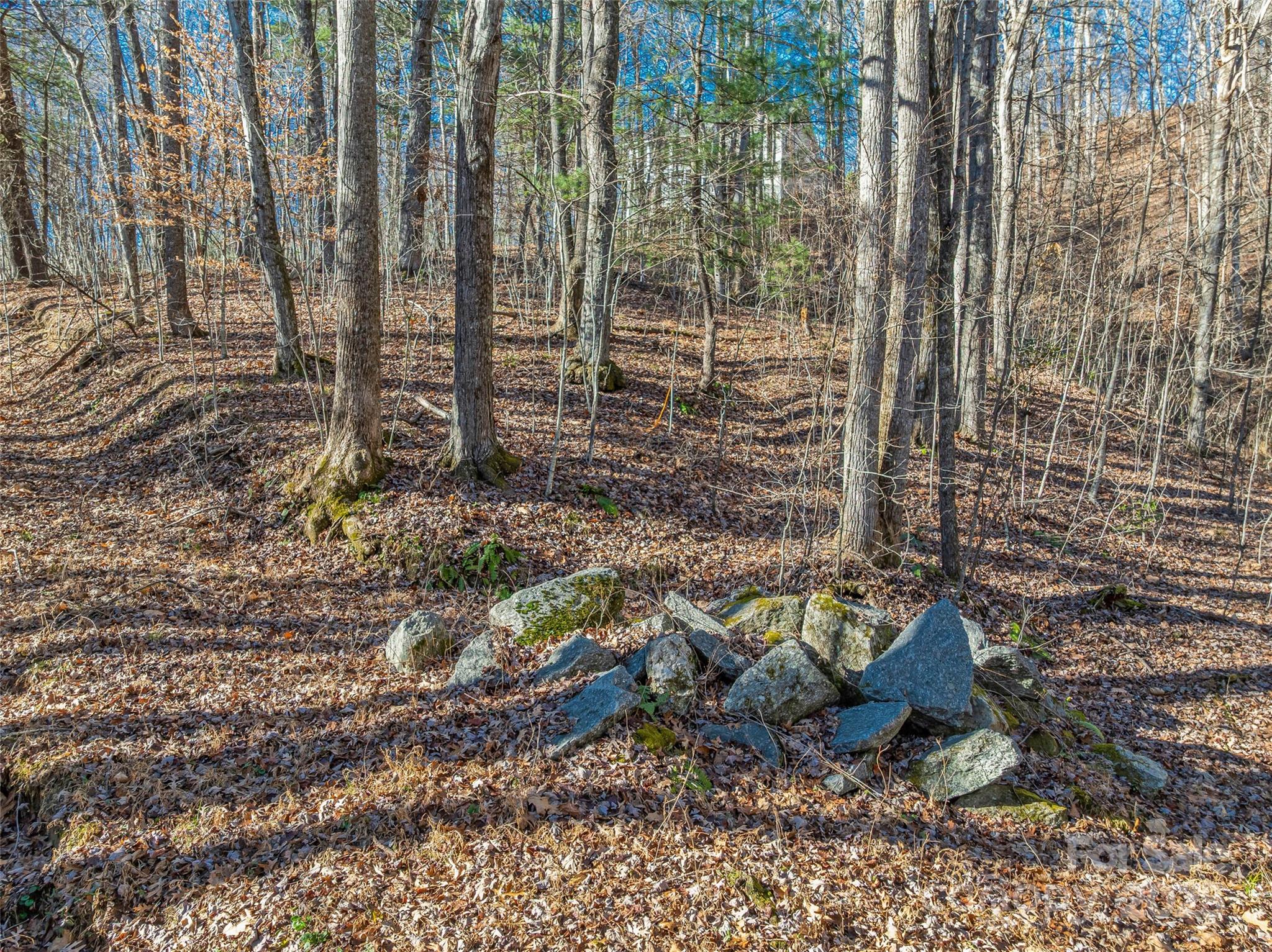 Tbd Ladys Fern Trail Laurel Park NC 28739