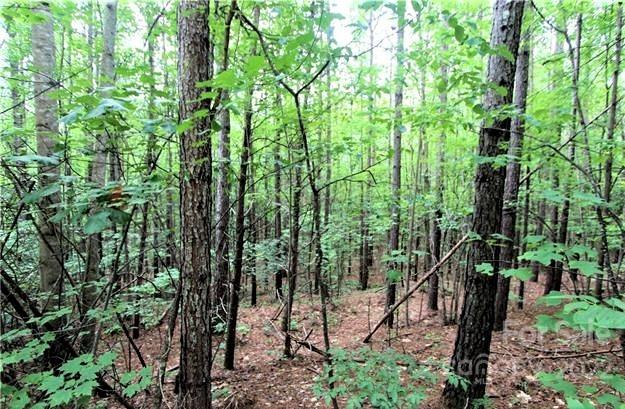 0 Chasewood Drive Rutherfordton NC 28139