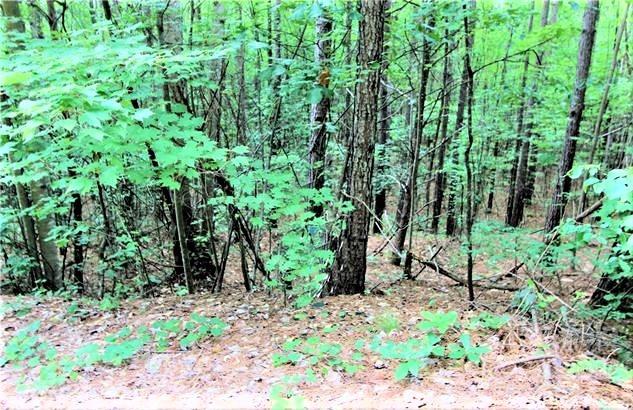 0 Chasewood Drive Rutherfordton NC 28139