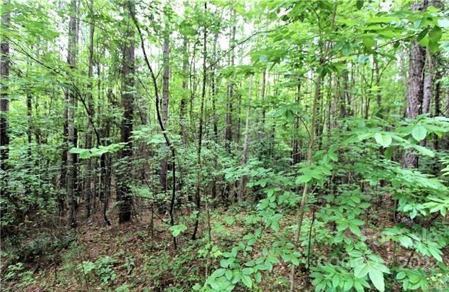 0 Chasewood Drive Rutherfordton NC 28139