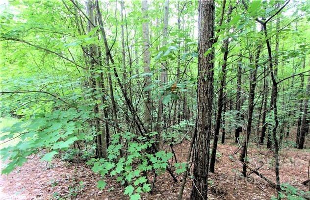 0 Chasewood Drive Rutherfordton NC 28139