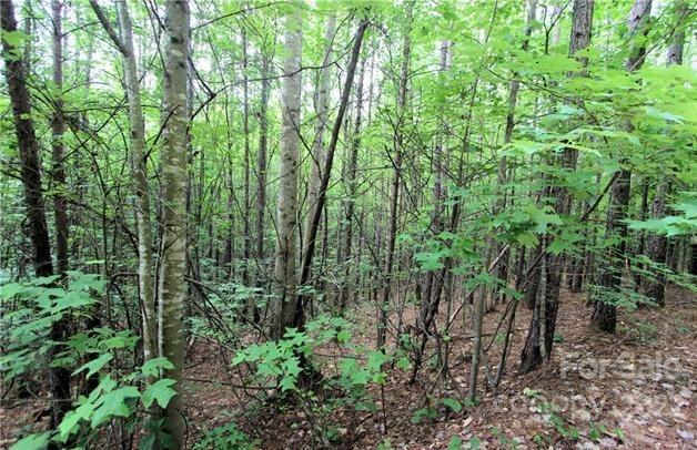 0 Chasewood Drive Rutherfordton NC 28139