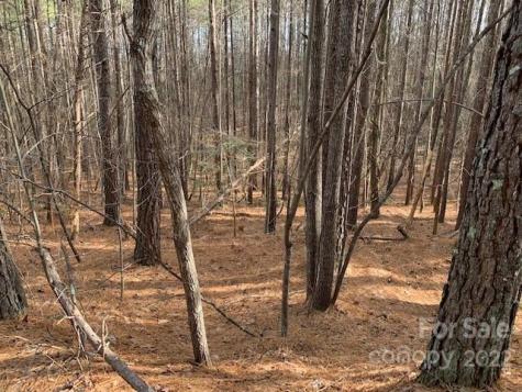 0 Chasewood Drive Rutherfordton NC 28139