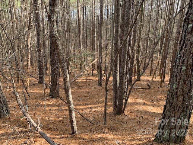 0 Chasewood Drive Rutherfordton NC 28139