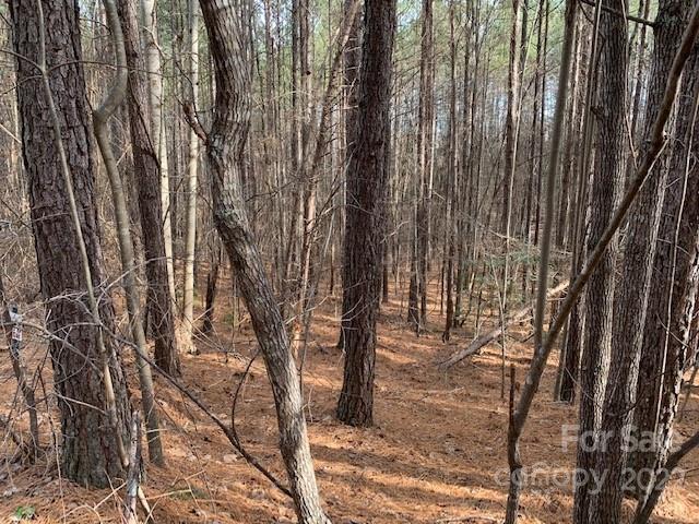 0 Chasewood Drive Rutherfordton NC 28139