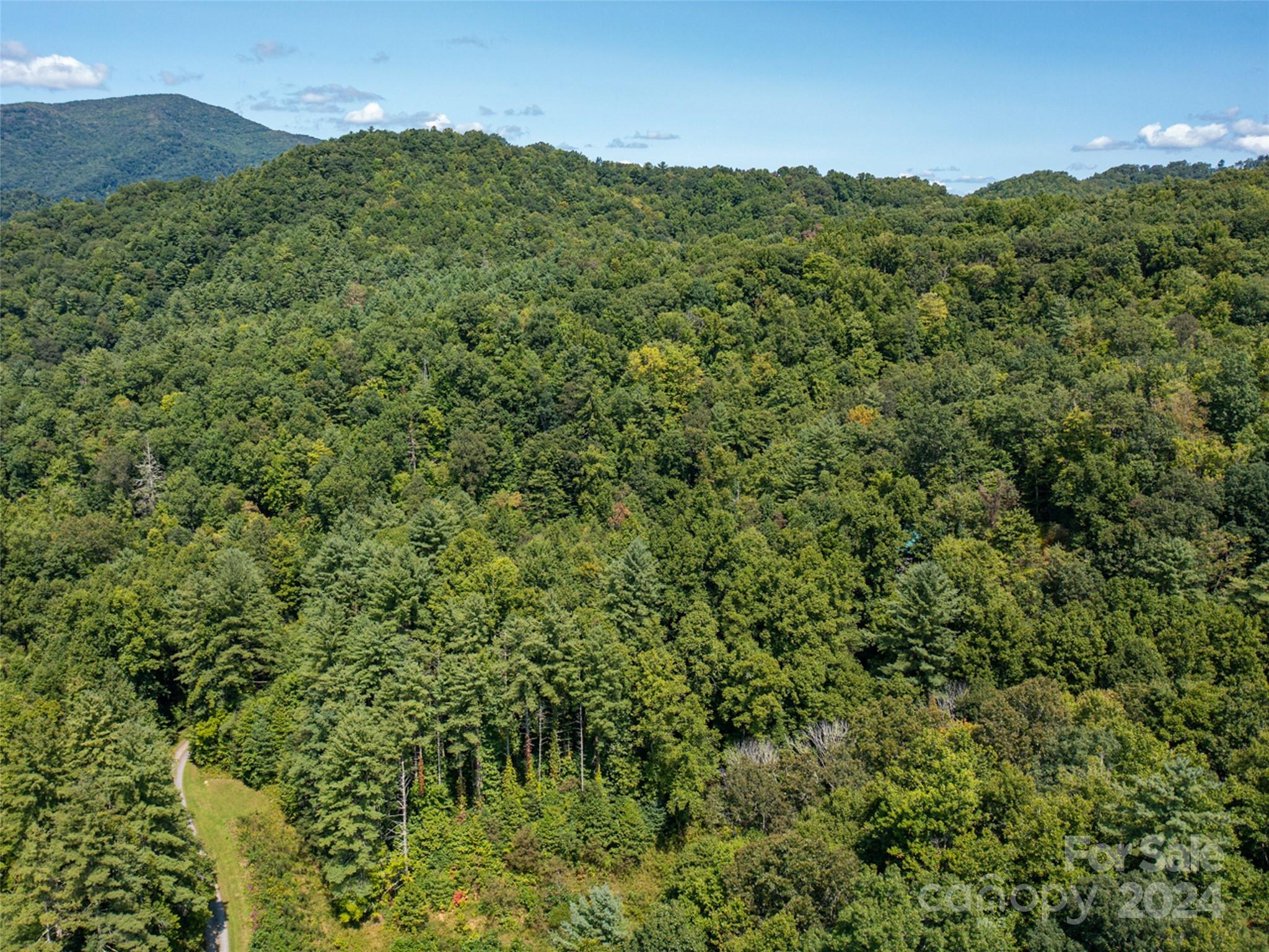 00000 Meadow Fork School Road Hot Springs NC 28743