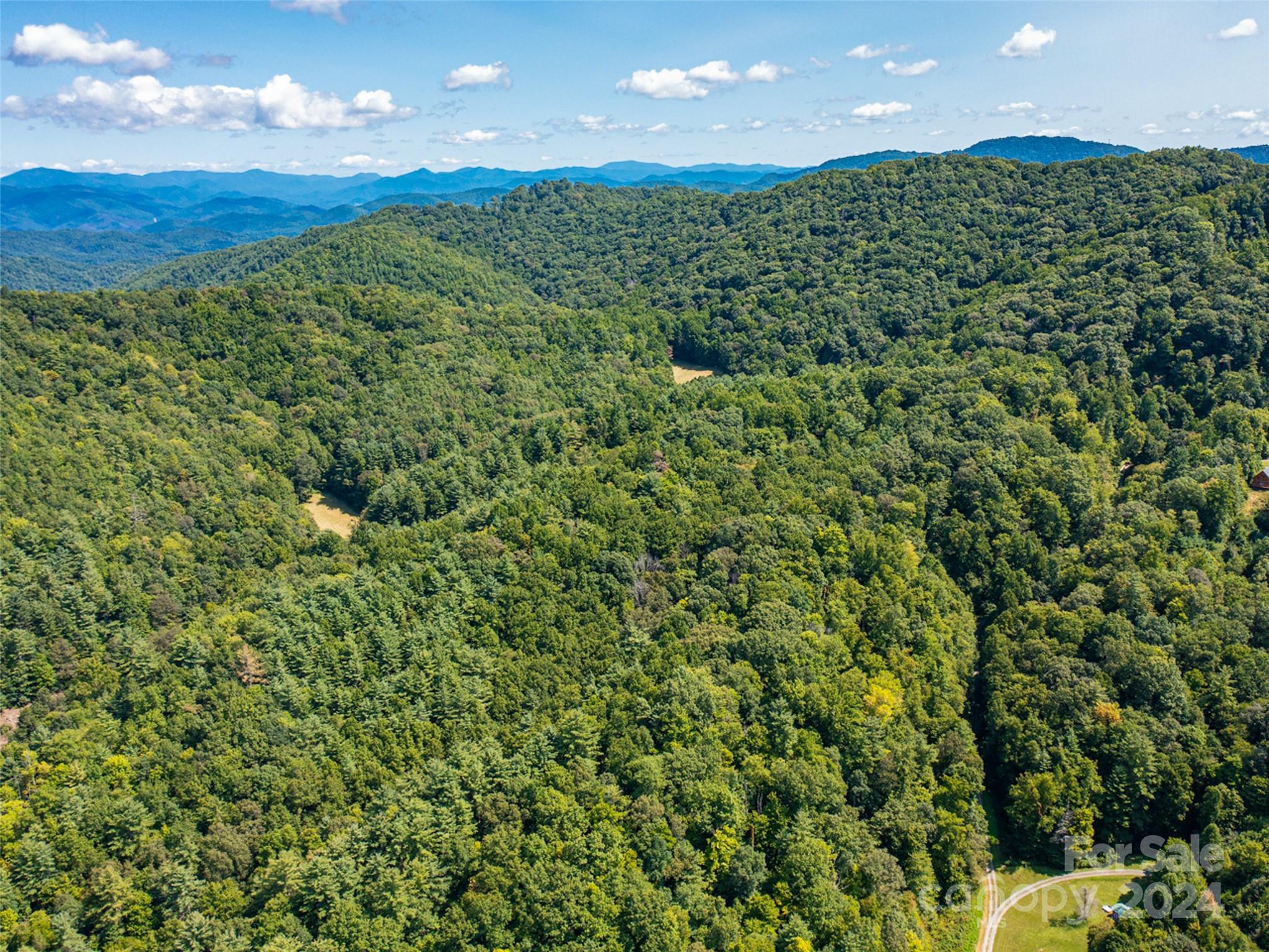 00000 Meadow Fork School Road Hot Springs NC 28743