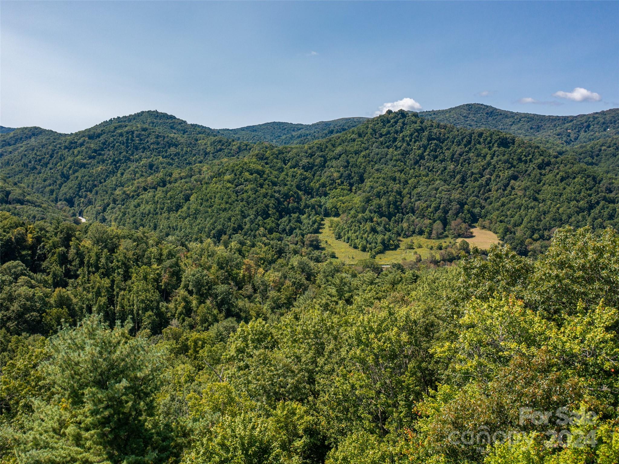00000 Meadow Fork School Road Hot Springs NC 28743