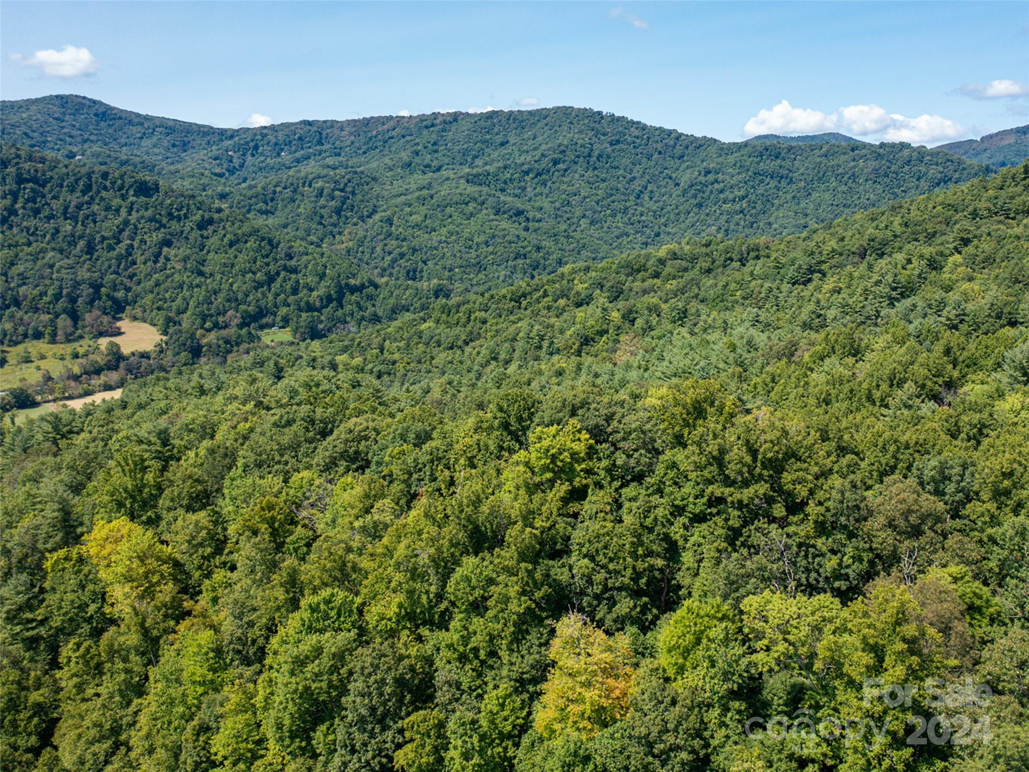 00000 Meadow Fork School Road Hot Springs NC 28743