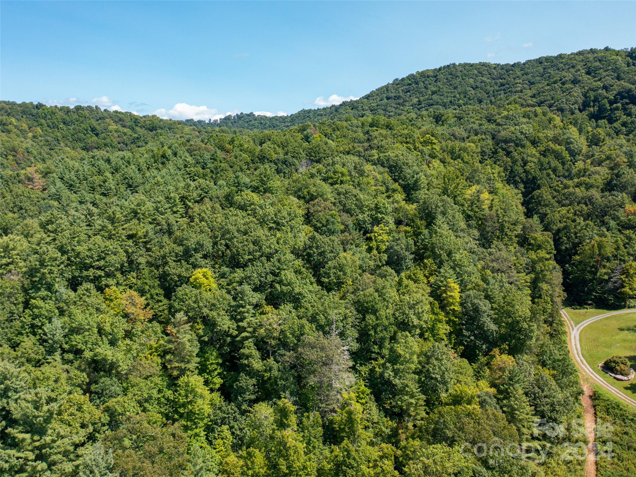 00000 Meadow Fork School Road Hot Springs NC 28743
