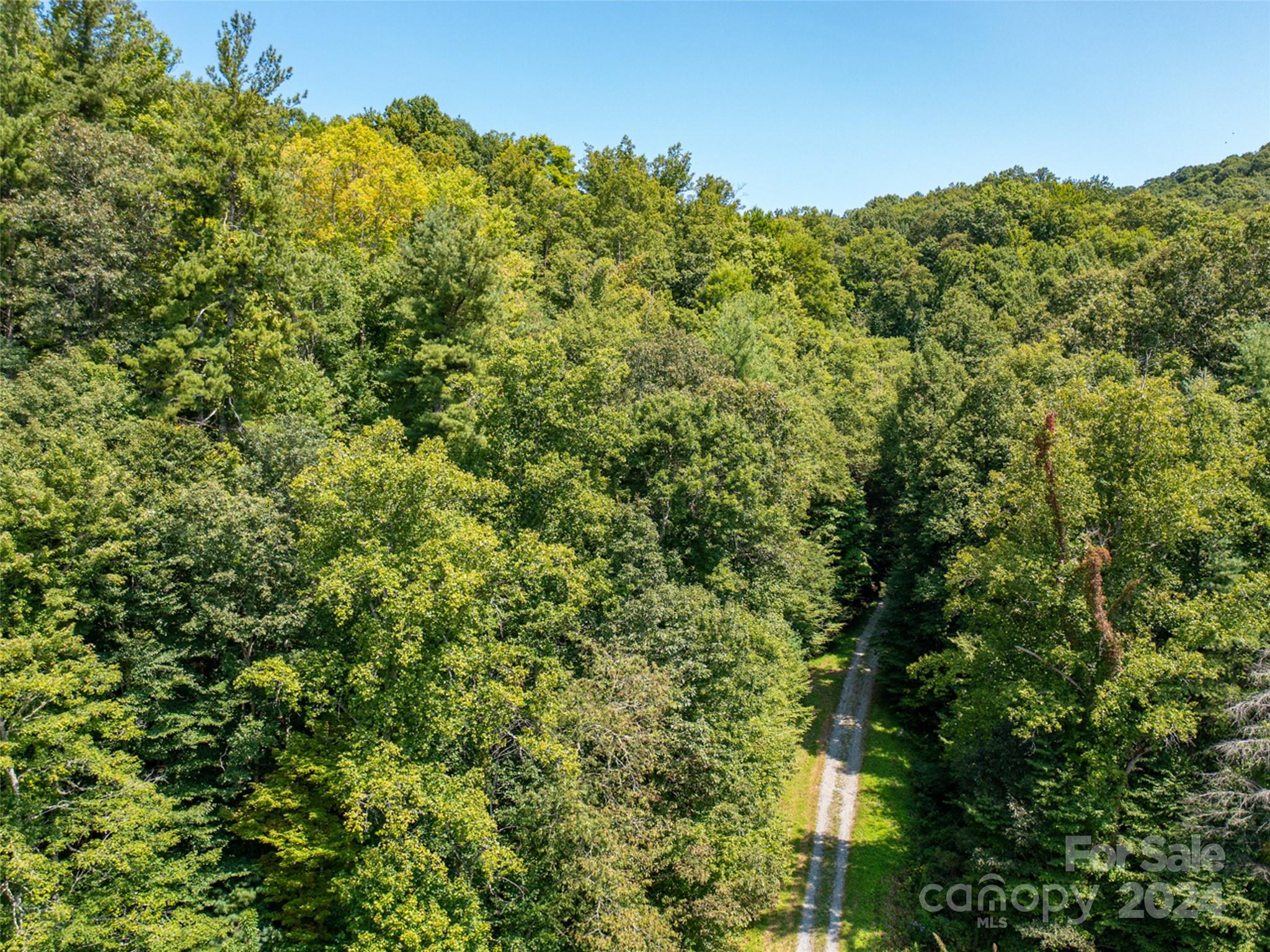00000 Meadow Fork School Road Hot Springs NC 28743