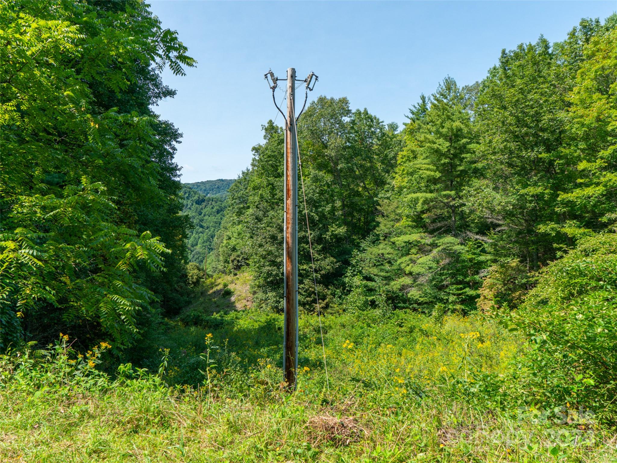 00000 Meadow Fork School Road Hot Springs NC 28743