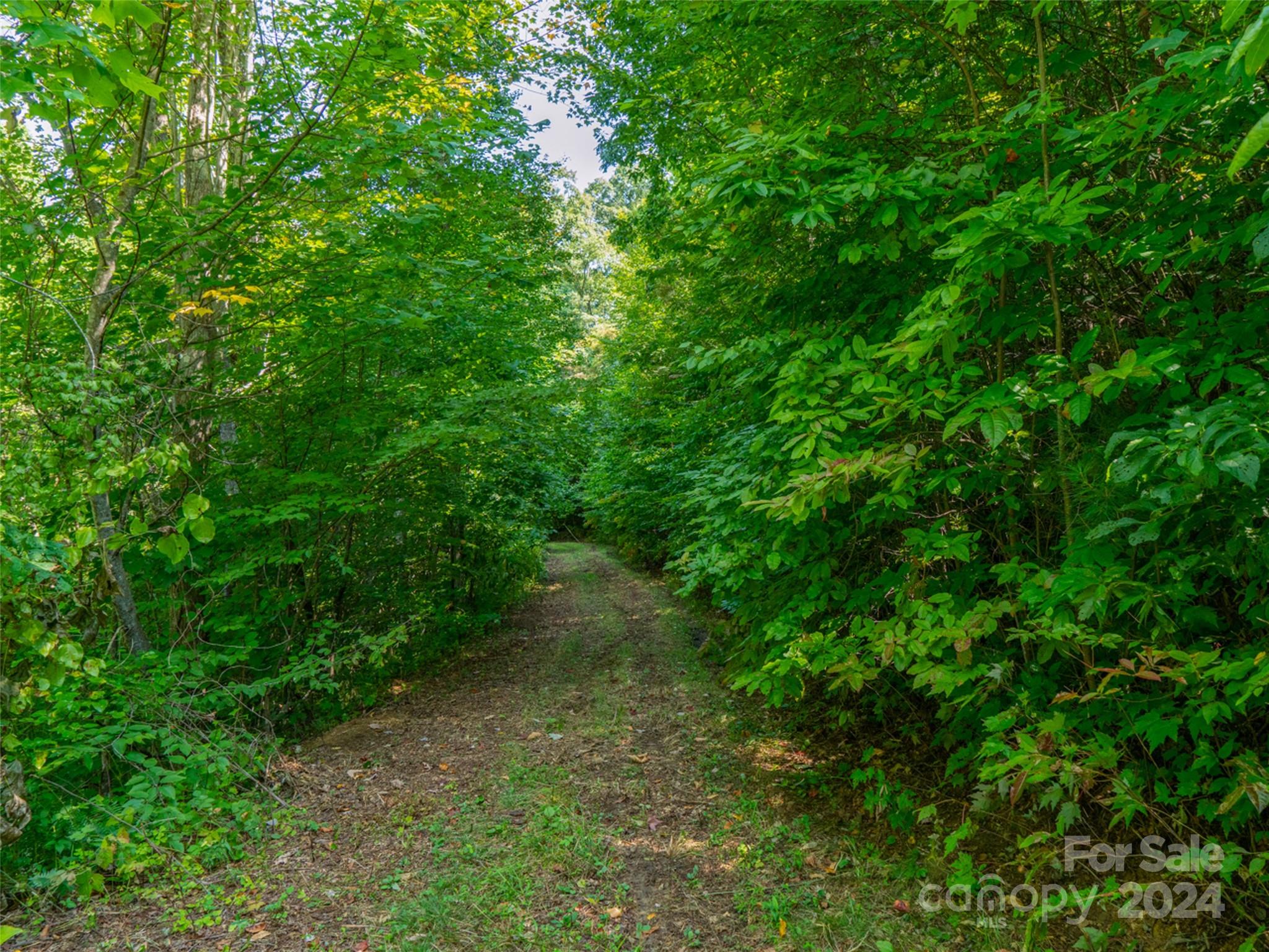 00000 Meadow Fork School Road Hot Springs NC 28743