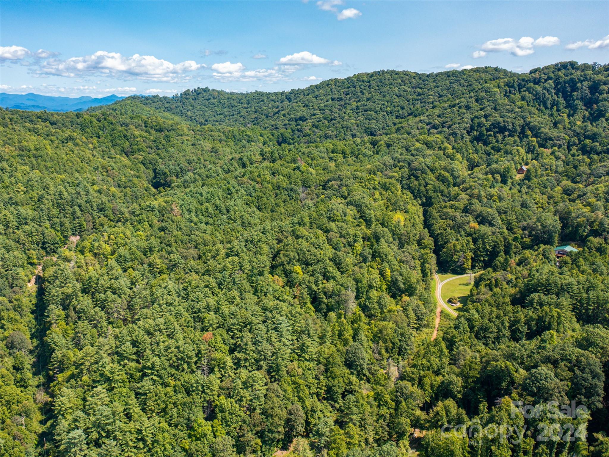 00000 Meadow Fork School Road Hot Springs NC 28743