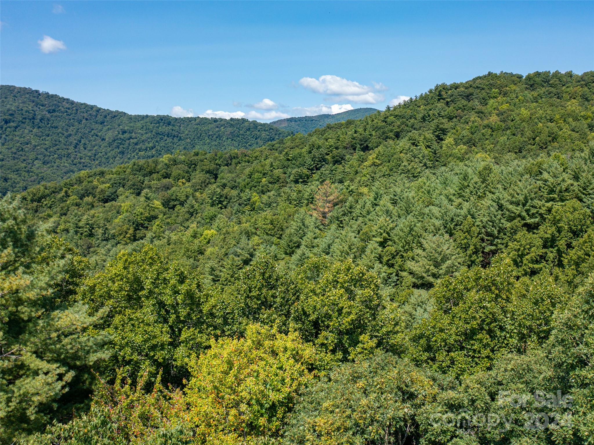 00000 Meadow Fork School Road Hot Springs NC 28743